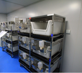 毒理实验室 - 苏州华搏生物检测有限公司